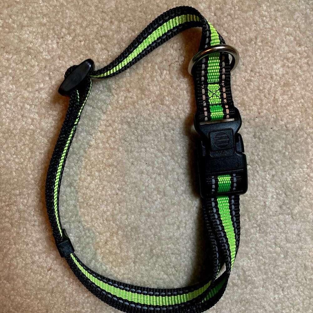 ITEM NO. 21: Glow at night green dog collar.